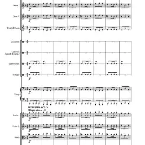 BIZET CARMEN SUITE FOR SMALL ORCHESTRA by Peyber Medina