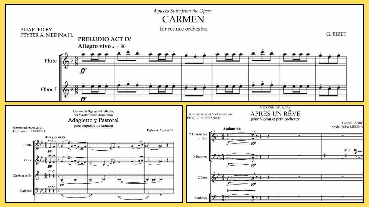 Master Orchestration & Professional Score Preparation | 30Y Experience